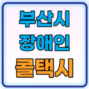 부산시 장애인 콜택시