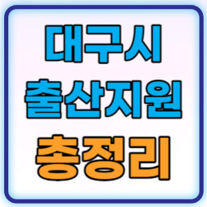 대구시출산지원금총정리