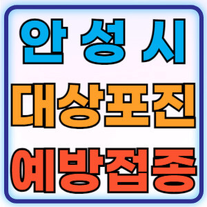 안성시대상포진