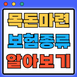 목돈마련보험